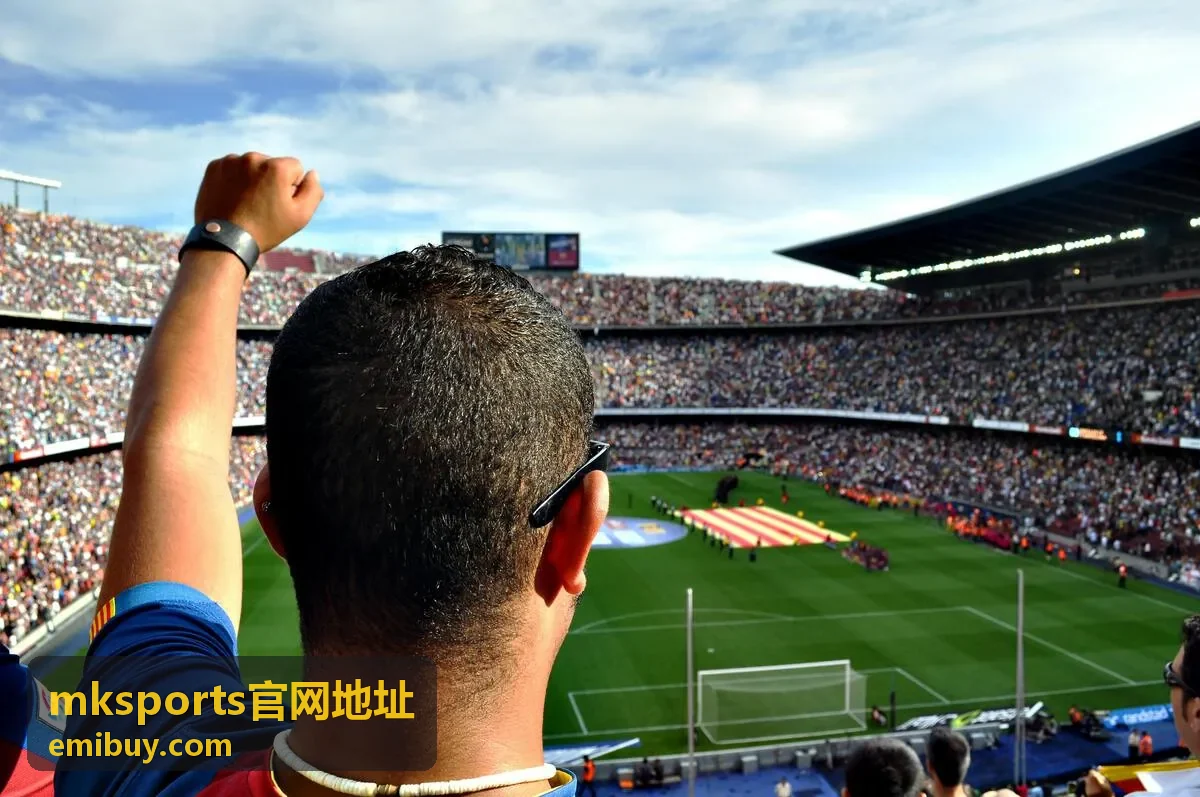 mksports官网地址入口核对流程示意图