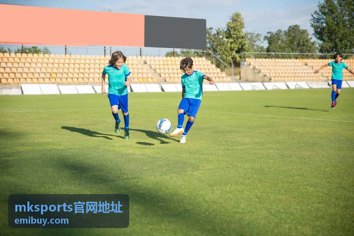 mksports官网地址栏目功能分布示意图