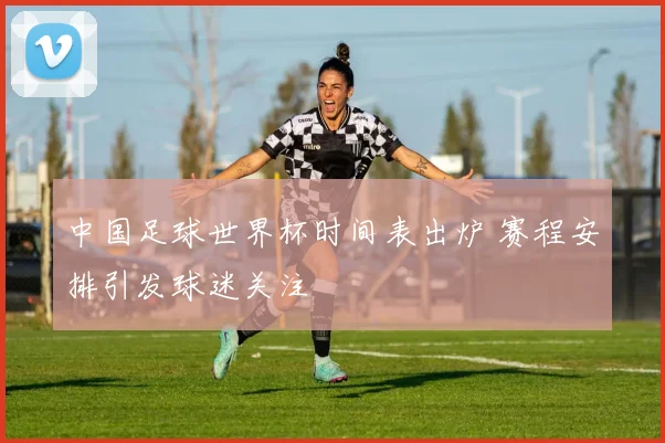 中国足球世界杯时间表出炉 赛程安排引发球迷关注