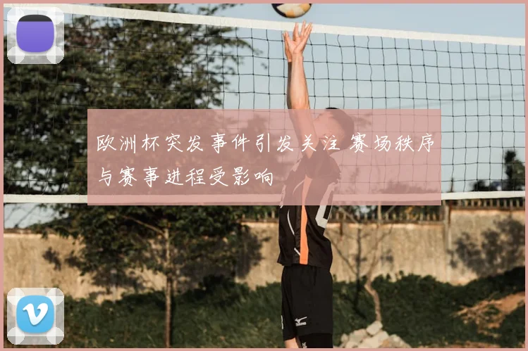 欧洲杯突发事件引发关注 赛场秩序与赛事进程受影响