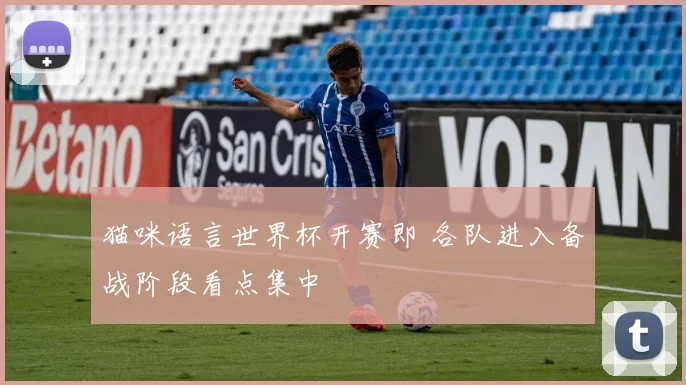 猫咪语言世界杯开赛即 各队进入备战阶段看点集中