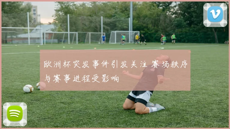 欧洲杯突发事件引发关注 赛场秩序与赛事进程受影响
